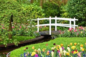 garden-design-planting
