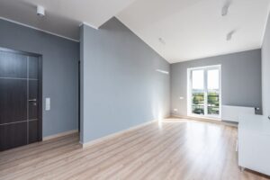 painting and decorating sonex